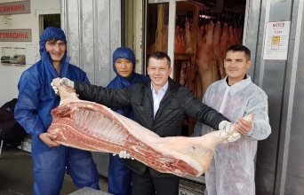 Описание изображения